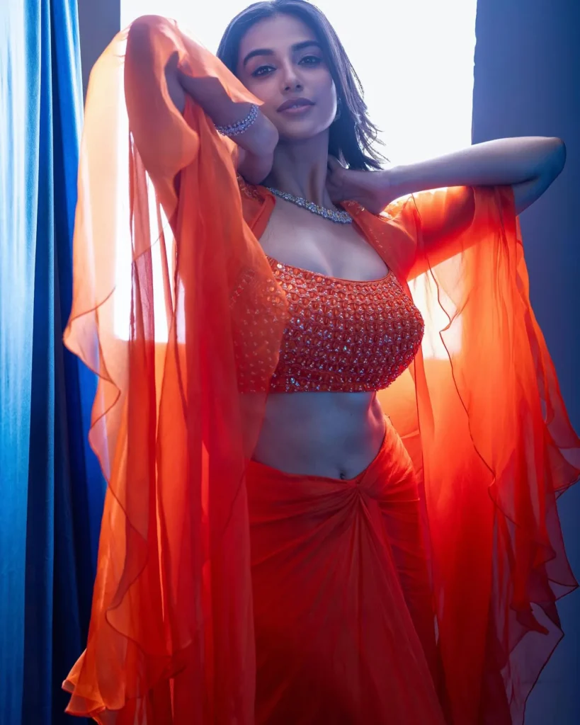 Meenakshi movies